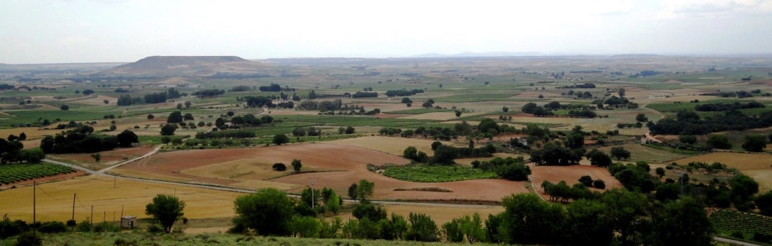 Traslascuestas Tempranillo roble