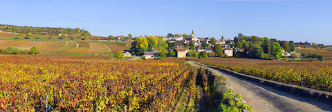 Florent Garaudet Puligny-Montrachet Vieilles Vignes 2023