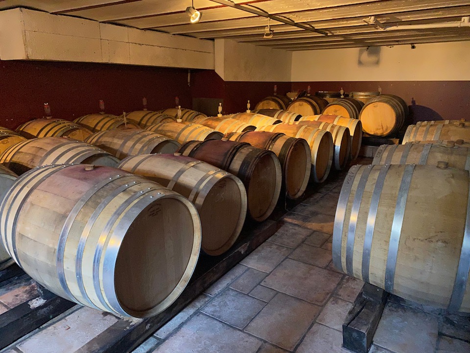 Kaufmann Hassel Pinot Noir GG 2018 BIO