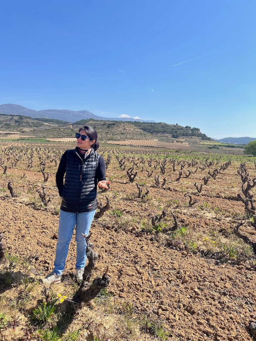 Jade Gross Peace, Love & Garnacha 2024
