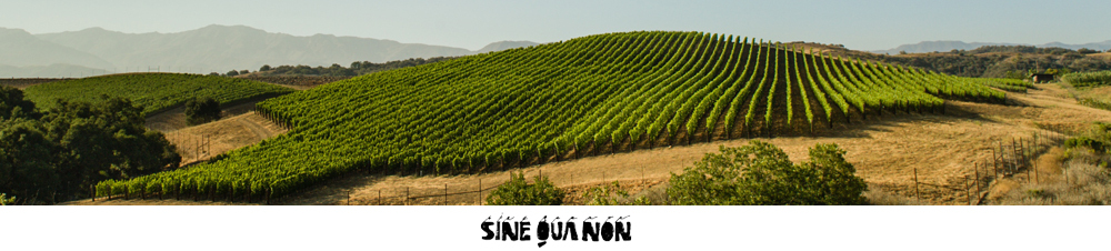 Sine Qua Non