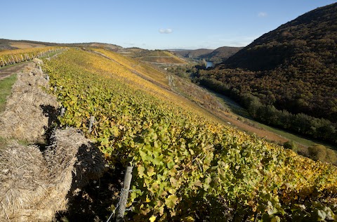 Dönnhoff Niederhäuser Klamm Riesling Kabinett 2021