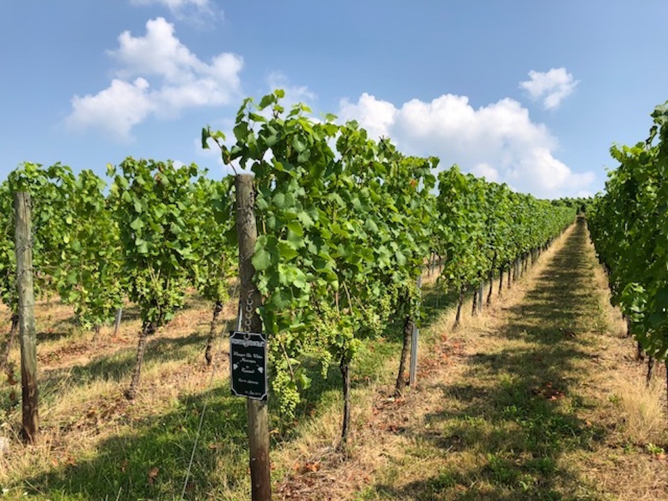 Weingut Udo Weber