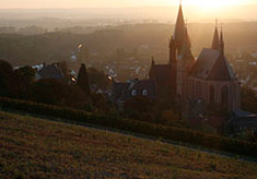 Produkt Bild