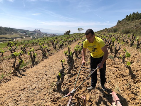Jose Gil Paraje La Canoca Single Vineyard 2024