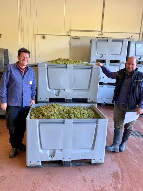 Von Winning Deidesheimer Herrgottsacker Riesling 2021