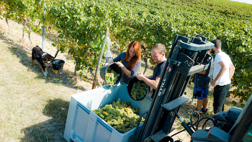 Schittler Becker Niersteiner Pettenthal Riesling trocken 2021