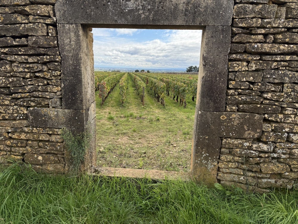 Domaine Thierry Mortet Bourgogne Cuvée Les Terroirs de Daix 2022 BIO