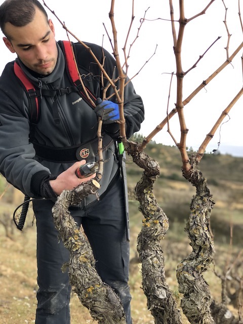Jose Gil Paraje La Canoca Single Vineyard 2024