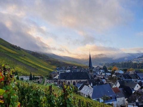 Willi Schäfer Graacher Domprobst Riesling Kabinett 2023 #03