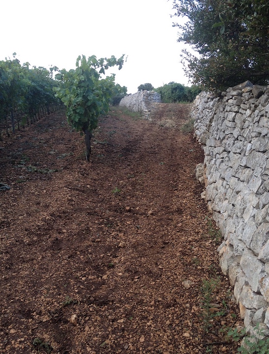 Cantina Angiuli Donato Nero di Troia Puglia Rosso