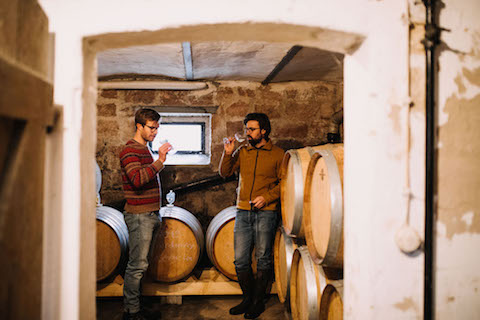 Scheuermann Riesling Ruppertsberger Reiterpfad 2019 BIO
