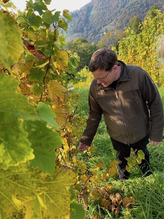 Wohlmuth Riesling Ried Edelschuh 2017