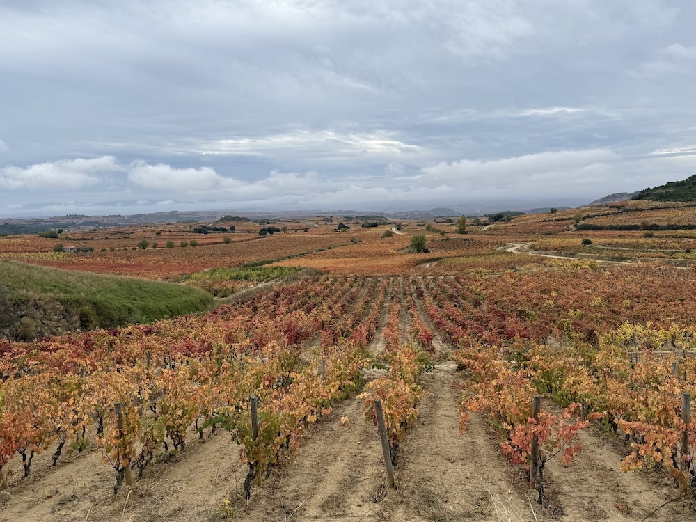 Baigorri Crianza