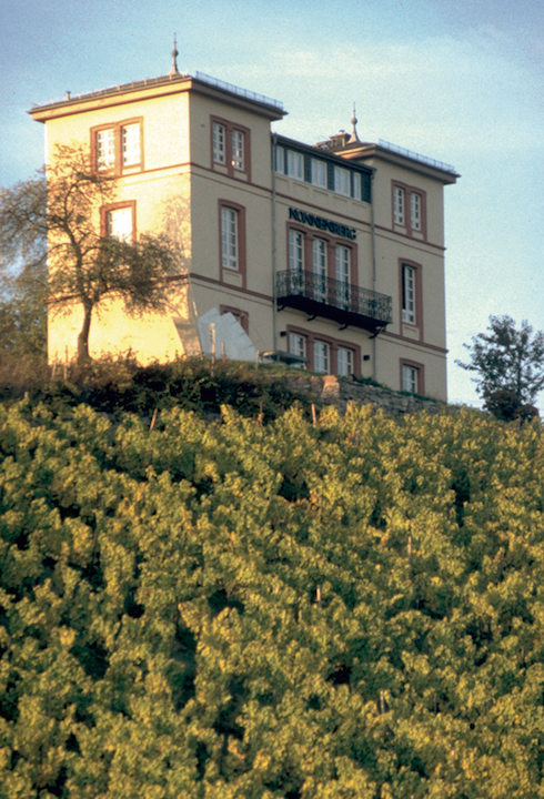 Georg Breuer Rüdesheim Berg Schlossberg Rheingau Riesling 2024