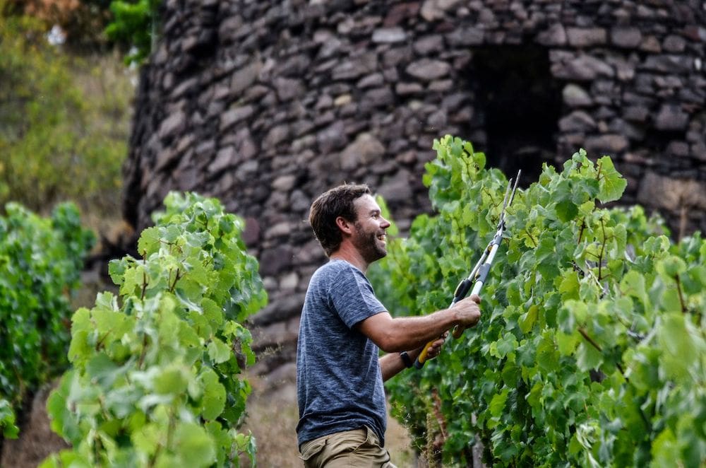 Weingut K.H. Schneider