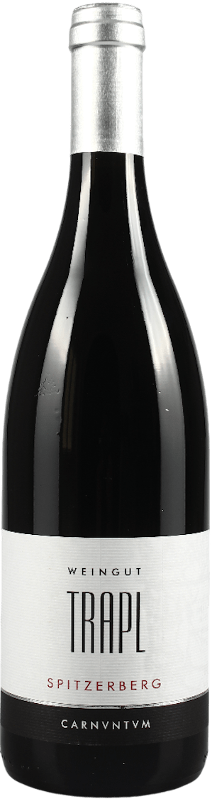 Trapl Spitzerberg Blaufränkisch