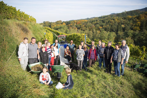 Josef Dockner Grüner Veltliner Göttweiger Berg