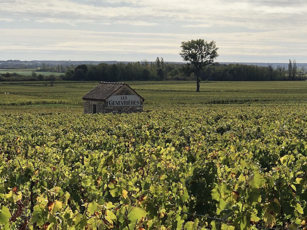 Domaine Henri Boillot