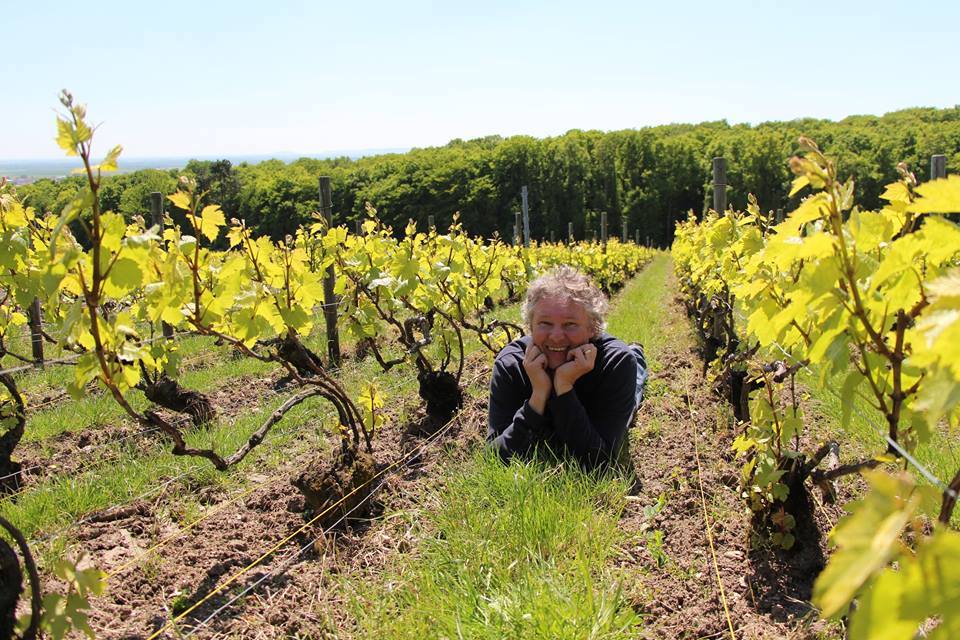 David Léclapart L'Aphrodisiaque 2019 BIO