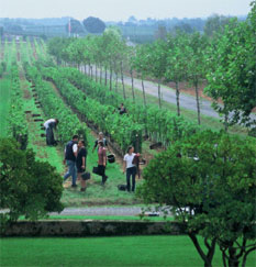 La Baume Petit Verdot Saint-Genies