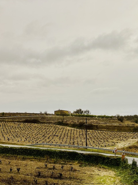 Fernandez de Pierola Reserva 2015 tinto