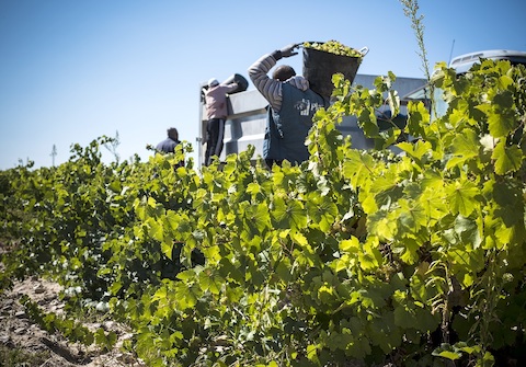 Bitacora Rueda Verdejo