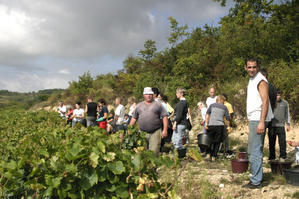 Das Ernteteam von Henri Prudhon.