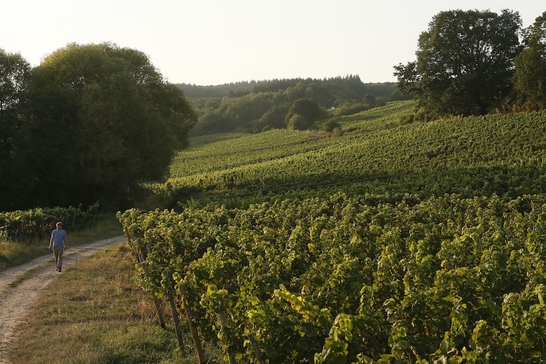 Peter Jakob Kühn Landgeflecht Unikat Riesling 2020 BIO