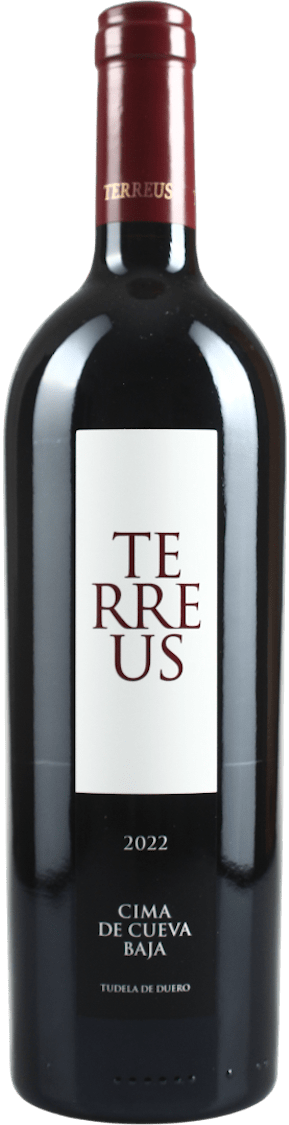 Mauro Terreus 2022 BIO
