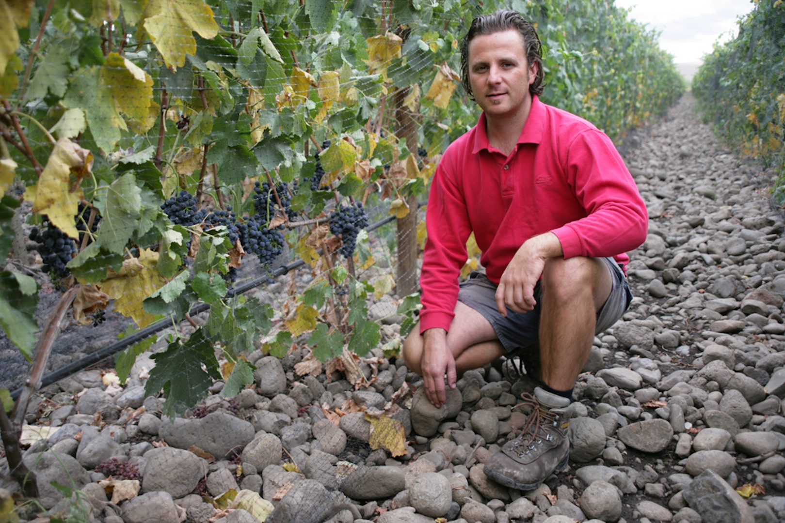 Cayuse-Cailloux-Vineyard-Walla-Walla-Valley-2008-1.jpg