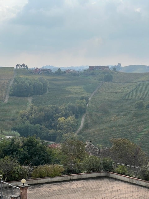 Sottimano Barbaresco Pajoré 2021 DOCG