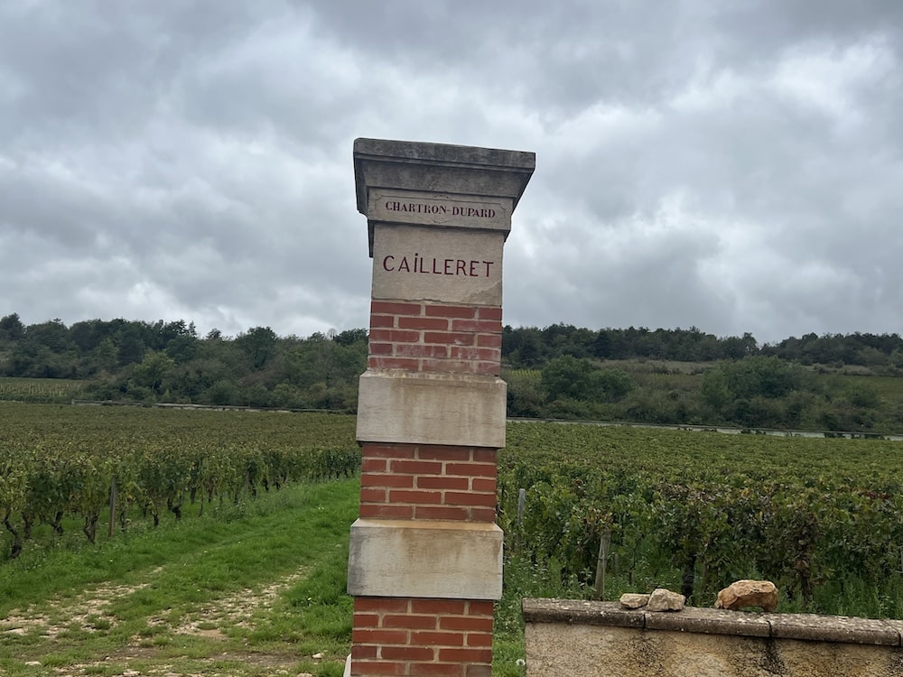 Jean Chartron Puligny Montrachet Clos du Cailleret 1er Cru 2021
