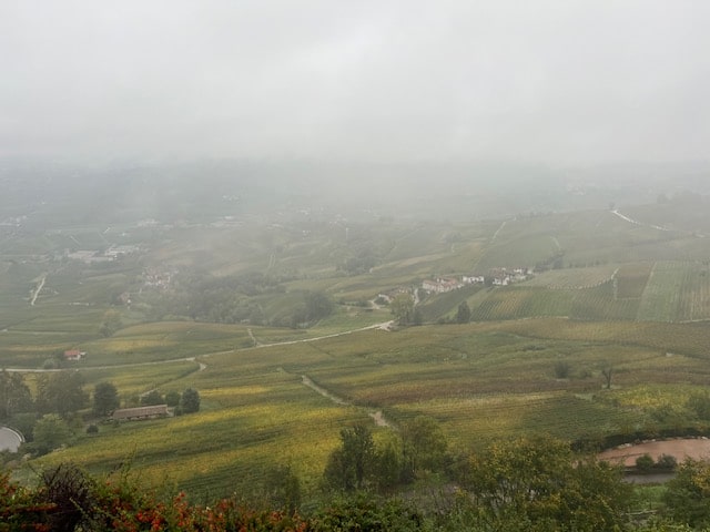 Fratelli Revello Barolo Giachini 2020 DOCG