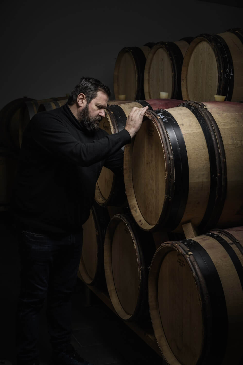 Domaine Bretaudeau Gabbro Clos des Bouquinardières Muscadet 2023 BIO