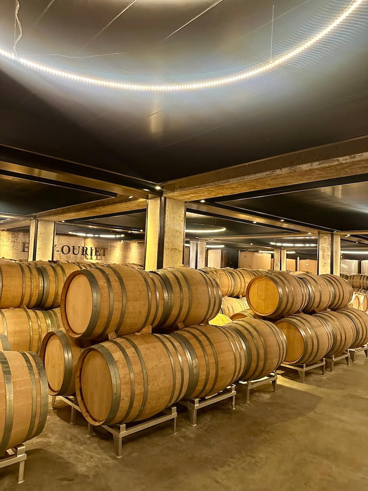 Egly-Ouriet Les Vignes de Vrigny Premier Cru Extra Brut