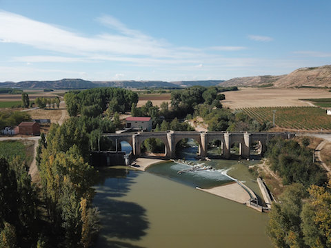 Protos Reserva 2020 tinto