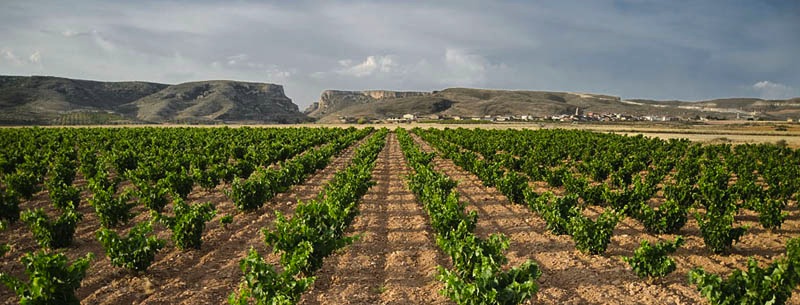Cariñena