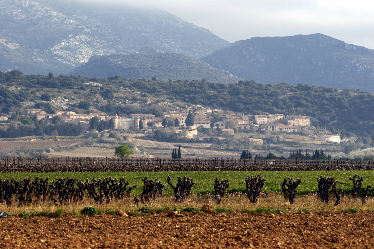 Orimos Chardonnay 2024