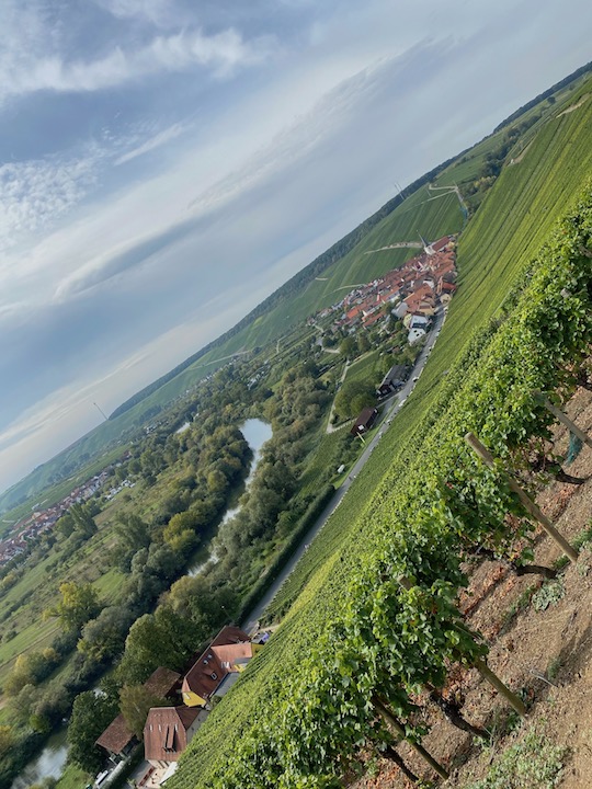 Weingut Horst Sauer