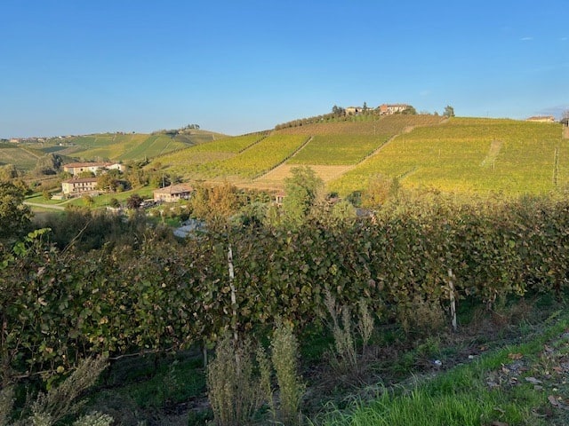 Sottimano Barbaresco Pajoré 2021 DOCG