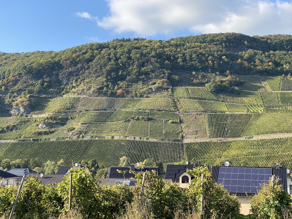 Julian Haart Haart Riesling 2024
