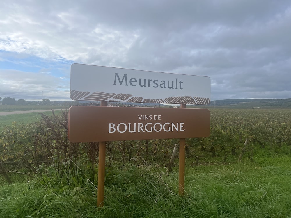 Sylvain Bzikot Meursault blanc 2022