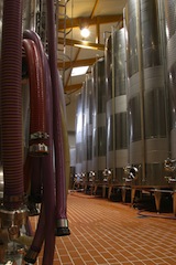 Montand-Sekt-Blanc-de-Blancs-3.jpg