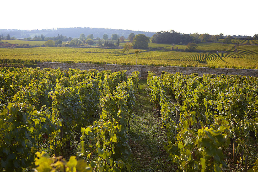 Benjamin Leroux Corton Grand Cru 2017