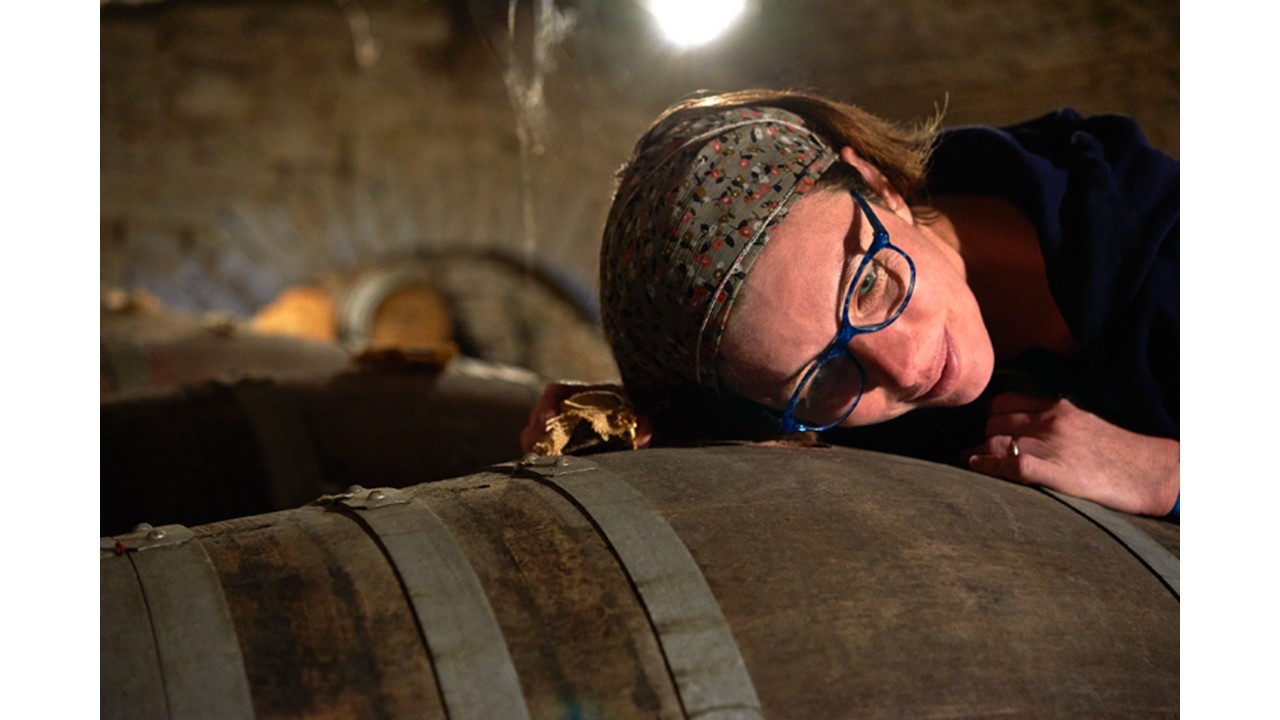 Domaine Berthet-Bondet Cotes du Jura Tradition 2016 BIO