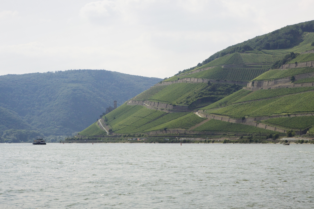 Weingut Georg Breuer