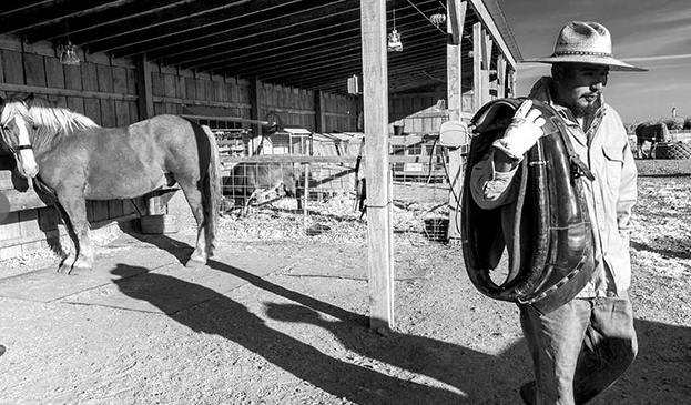 Horsepower Vineyards The Tribe Vineyard Syrah 2011