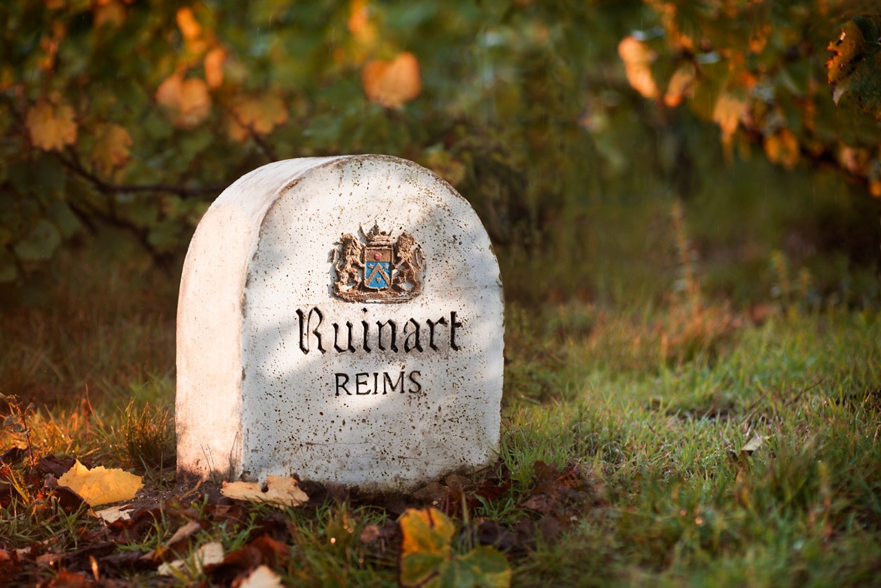 Ruinart
