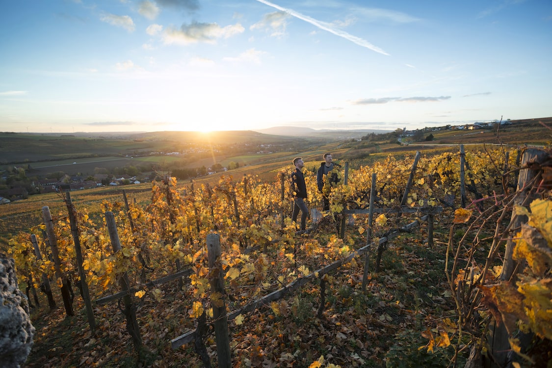 Schwedhelm Riesling Kabinett Karlspfad 2022